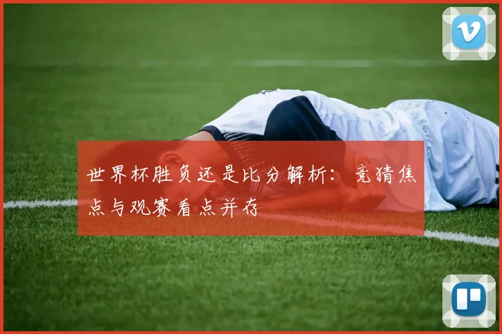世界杯胜负还是比分解析：竞猜焦点与观赛看点并存