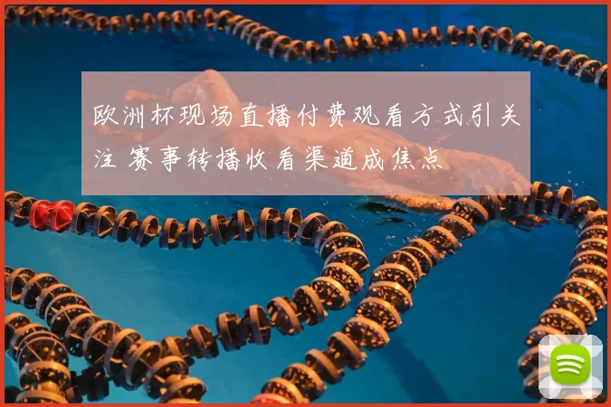 欧洲杯现场直播付费观看方式引关注 赛事转播收看渠道成焦点