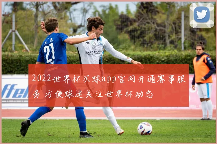 2022世界杯买球app官网开通赛事服务 方便球迷关注世界杯动态
