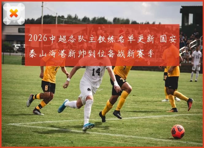 2026中超各队主教练名单更新 国安泰山海港新帅到位备战新赛季