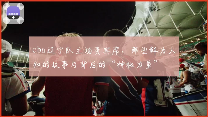 cba辽宁队主场贵宾席，那些鲜为人知的故事与背后的“神秘力量”