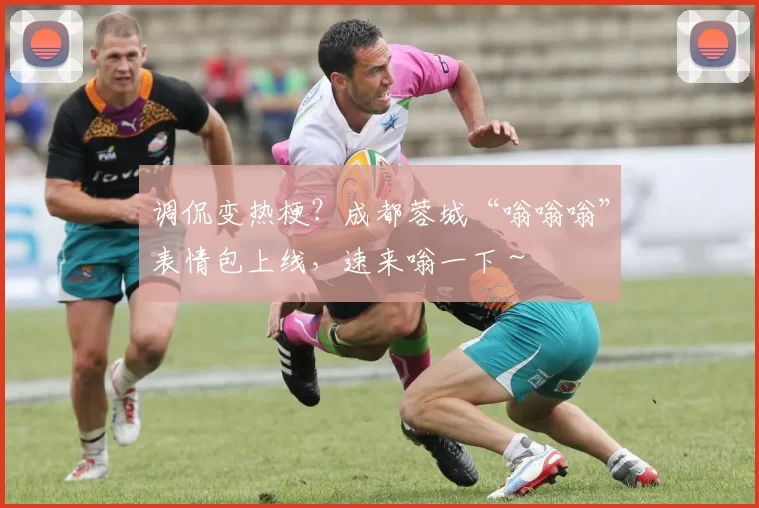 调侃变热梗？成都蓉城“嗡嗡嗡”表情包上线，速来嗡一下～