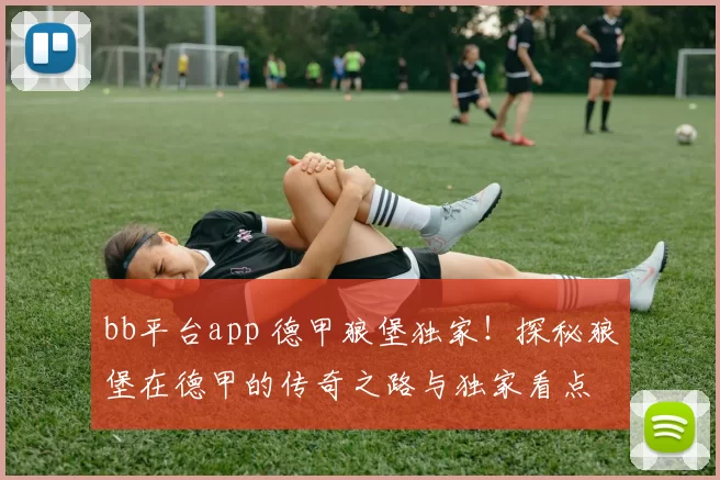 bb平台app 德甲狼堡独家！探秘狼堡在德甲的传奇之路与独家看点